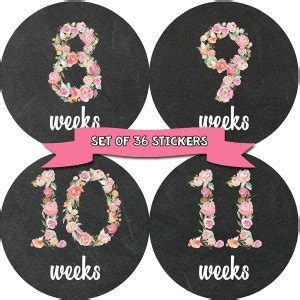 Months In Motion Pregnancy Week By Week Belly Stickers | Large Set Of ...