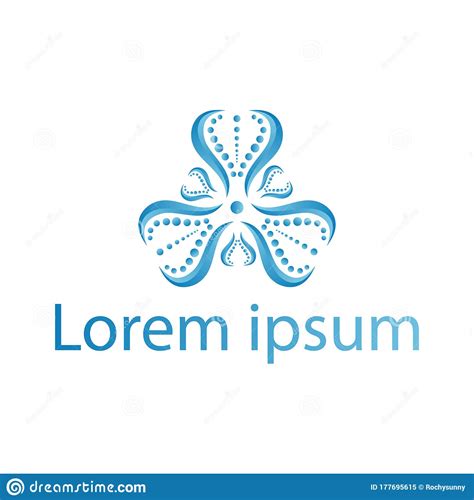 Rise Physical Therapy and Pilates Physical Therapy and Pilates Clinic ...