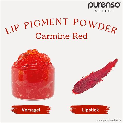 Lip Pigment Powder I Add color to your lipsticks, versagel, lip gloss ...