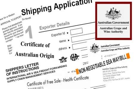 Export Shipment 的图像结果