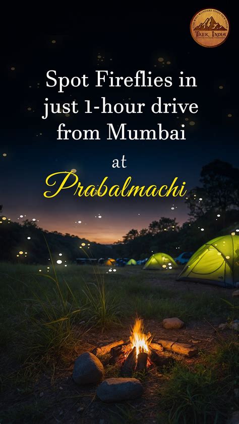 Prabalmachi Fireflies Camping Near Mumbai | Weekend Trek & Night ...
