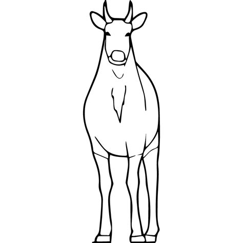 Trinetra - About: Free Indian Symbols, Signs, Patterns, Graphics ...