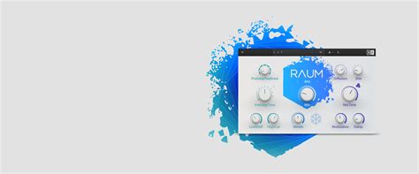 Image result for Native Instruments Raum