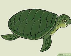Image result for Coloring Pages of Sea Life