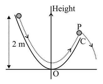 A particle ( m =1 kg ) slides down a frictionless track ( AOC ...