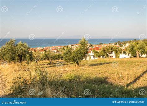 Greek Rural Landscape with Olive Groves and Blue Sea Stock Photo ...