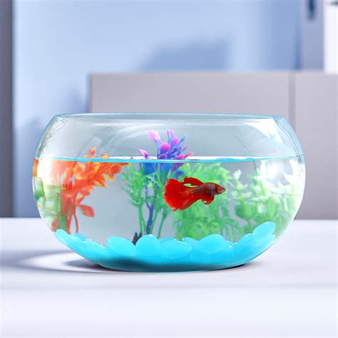 Snapklik.com : 1 Gallon Glass Fish Bowl