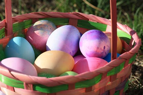Colored Eggs in Easter Basket – Photos Public Domain