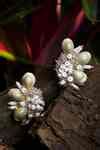 Buy Grey Stone Sampaguita Handcrafted Studs by House of D'oro Online at ...