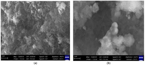 Synthesis, Characterization and Antimicrobial Activity of Zinc Oxide ...