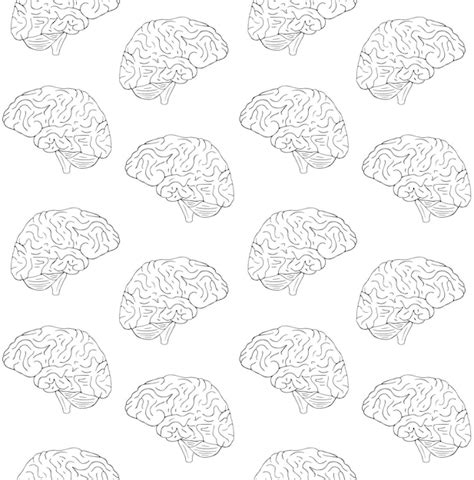 Brain Pattern Vector 的图像结果