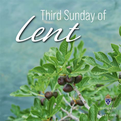 Gaylord Diocese Churches