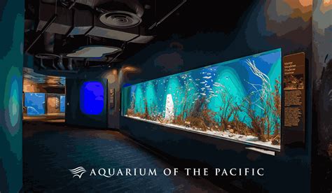 Buy Zoos & Aquariums Tickets on FunEx