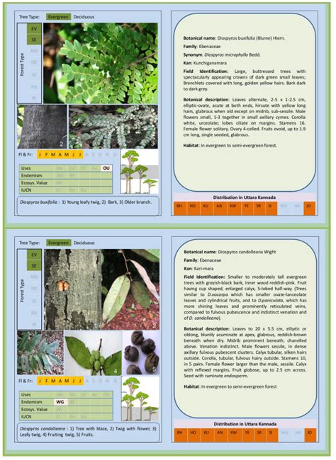 FOREST TREES OF CENTRAL WESTERN GHATS