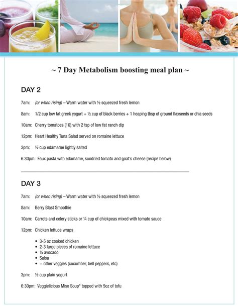 7 day metabolism boosting meal plan – Artofit