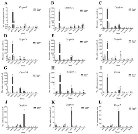 International Journal of Molecular Sciences | An Open Access Journal ...