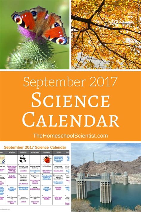 Science Month Activity 的图像结果