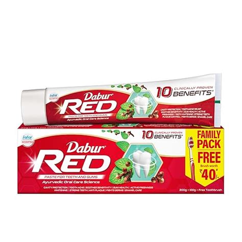 Buy Dabur Red Ayurvedic Paste, Provides Protection From Plaque ...
