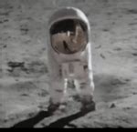 Image result for Alien Xenomorph Screech Sound Effect