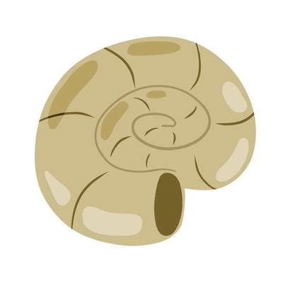 Image result for Shell Catoon