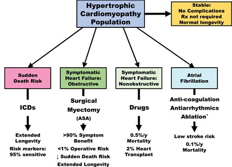 Hypertrophic Cardiomyopathy: Is a ‘Cure’ Coming . . . Or Is It Already ...