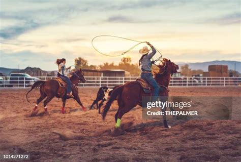 Image result for Team Roping Rodeo