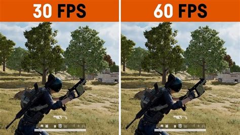 Frame Rate 的图像结果
