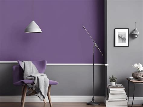 Purple Wall Paint Colours and Combinations for Beautiful Homes