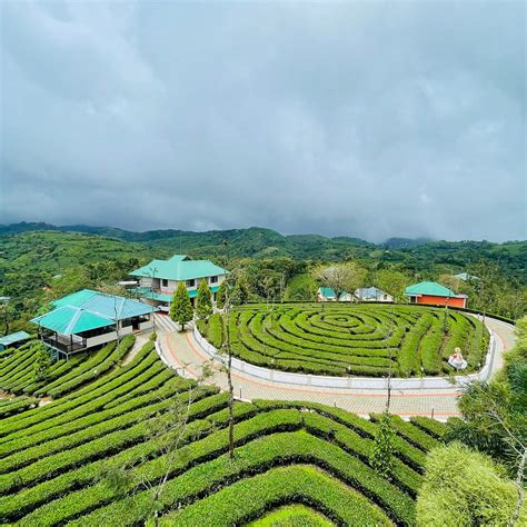 GREEN HILL ESTATE (Kottamala) - Cottage Reviews, Photos, Rate ...