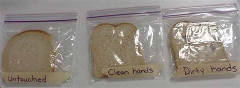 Image result for Falling Bread Experiment