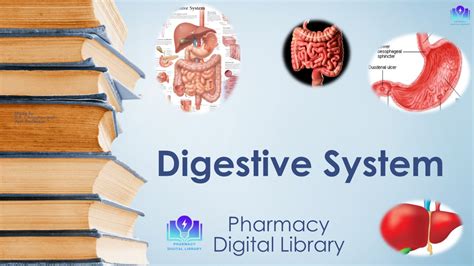 |HAP| Unit-2: The Digestive System(Anatomy and Physiology, Disorders)