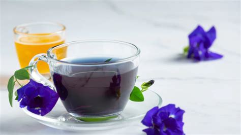 Blue Tea: 5 Amazing Health Benefits Of This Drink Will Make You Forget ...