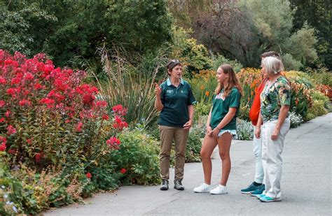 Botanic Gardens Guided Walks: January, 7 Riccarton Ave, Christchurch ...