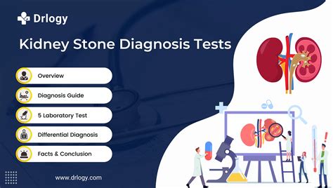 Confirmatory Test For Kidney Stones at Miguelina Cotten blog
