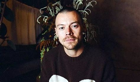 Harry Styles' Mom Claps Back: Defends Son Amid Backlash Over Shaved ...