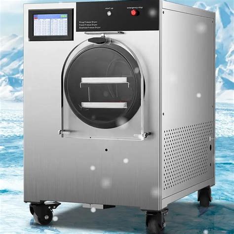 Buy WaaYb Freeze Dryer for Food, Scientific Freeze Dryer Machine Vacuum ...