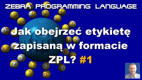 Image result for Zebra Programming Language Zebra Programming Tutorial
