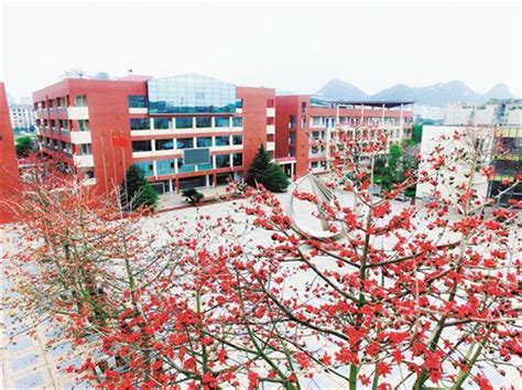 柳州市第十二中学50年办学特色纪实_广西文明网