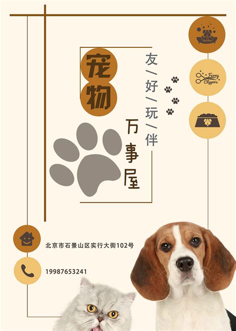 黄色时尚宠物店铺宠物用品促销海报设计图片下载 - 觅知网