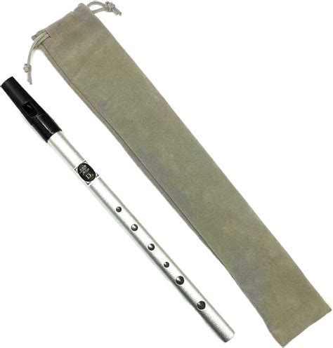Amazon.com: Tin Whistle,Irish Tin Whistle,Key of D,Beginner and ...