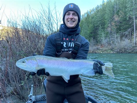 Trinity River - Upper Fish Report - Trinity River - Upper - Trinity ...