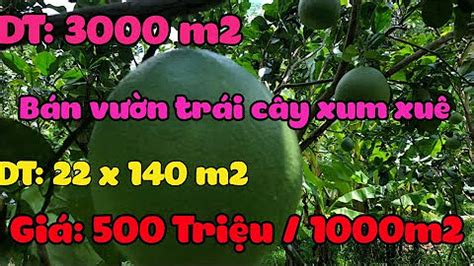 AMBIL SEKARANG