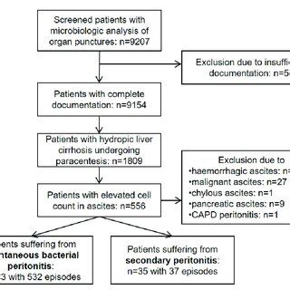 Image result for Capd Flow Sheet