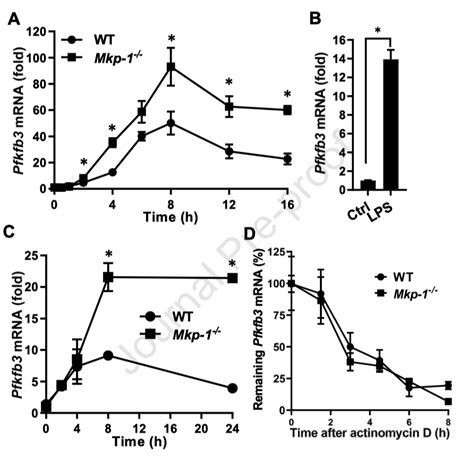 MK 128 Algorithm 的图像结果
