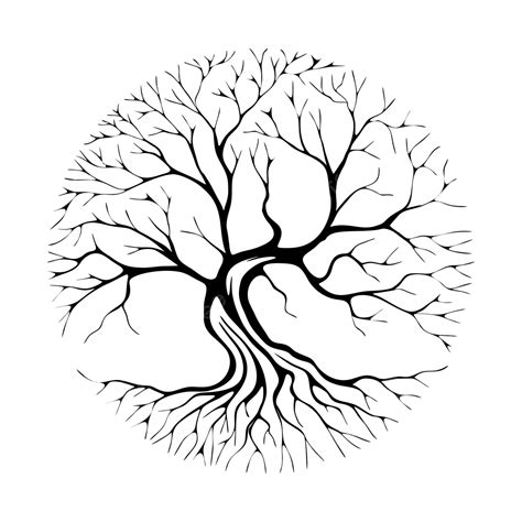How To Draw A Tree The Oak