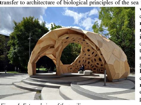 Image result for Natural Shell Structures