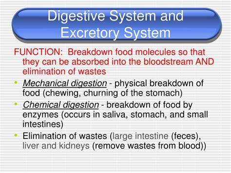 Skeletal System Functions 的图像结果