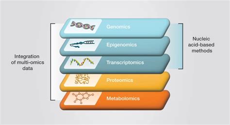 Omics Introduction 的图像结果