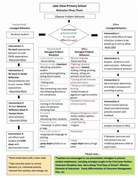 Image result for Positive Behavior Support Plan Forms