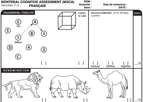 Image result for Pi Cognitive Assessment Sample Questions